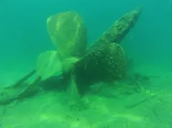 A Turbine With Algae Sunk Underwater One