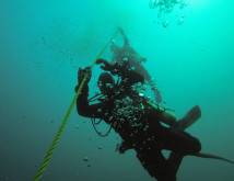 A Diver Diving Deep into the Sea