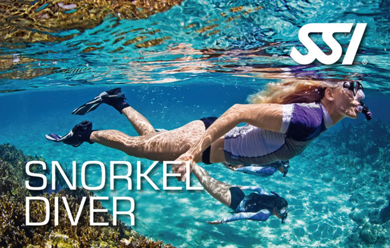 Female snorkel divers swimming